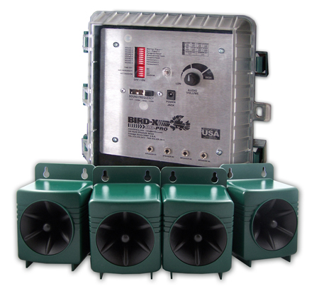 BroadBand PRO BroadBand PRO